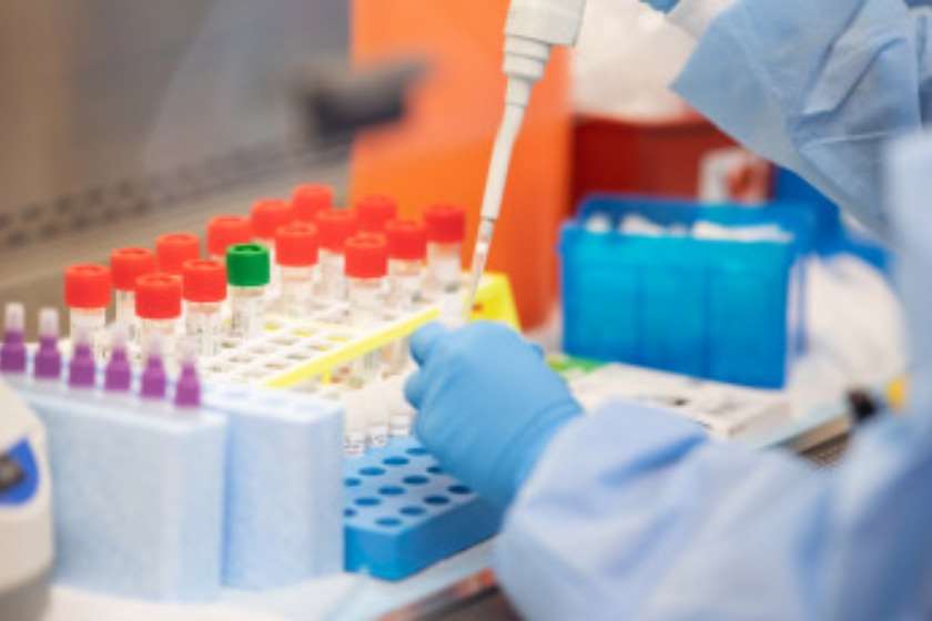 ეკა ტიკარაძე