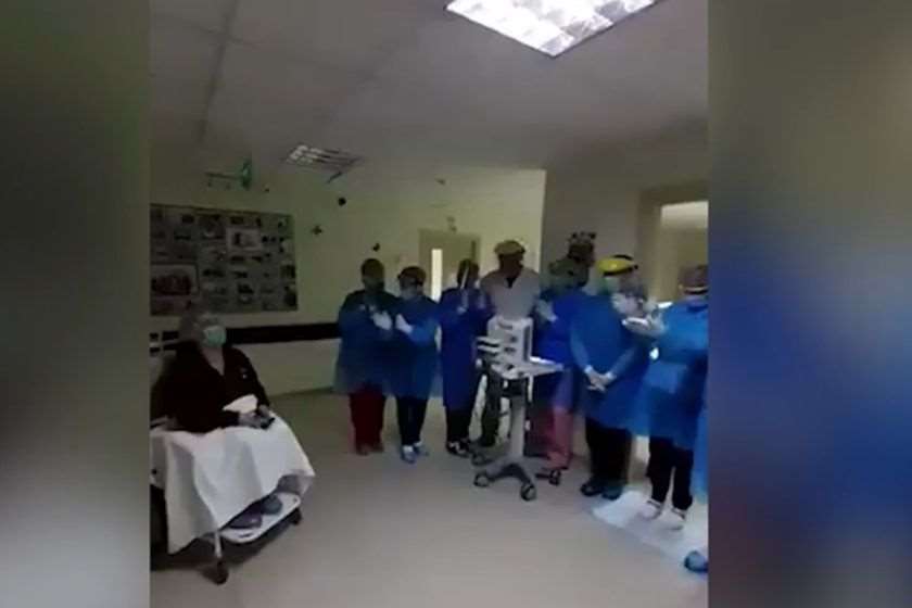 ორსულის გაწერა