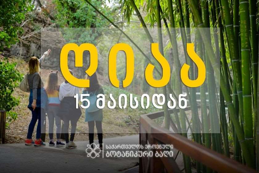 ბოტანიკური ბაღი