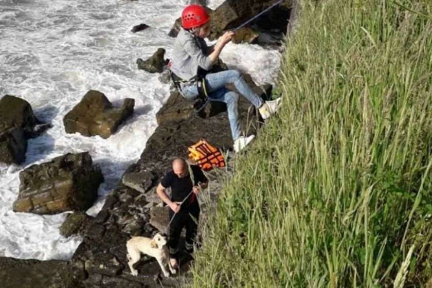ბათუმი ქალი ძაღლი გადარჩენა