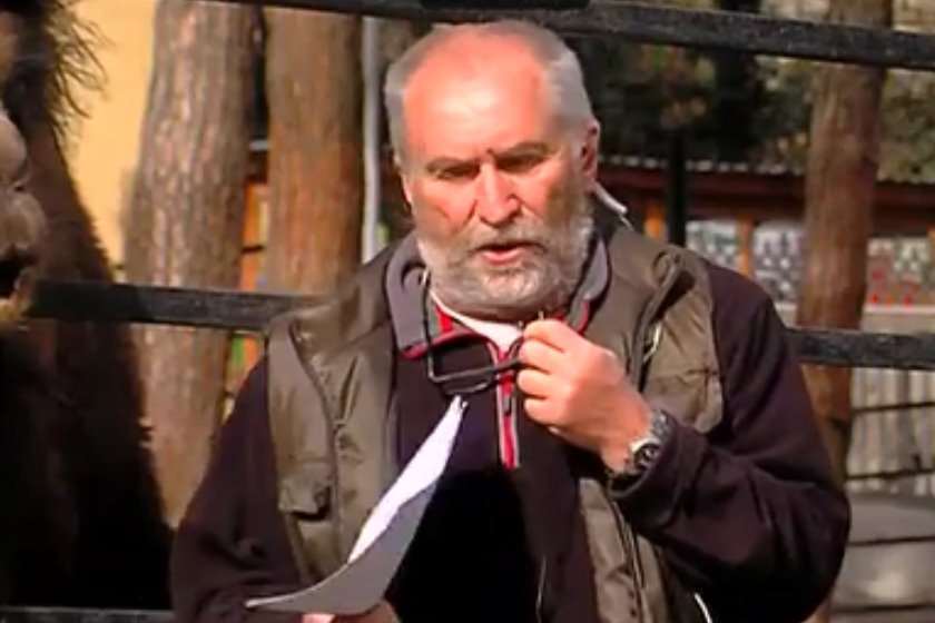 ზურაბ გურიელიძე