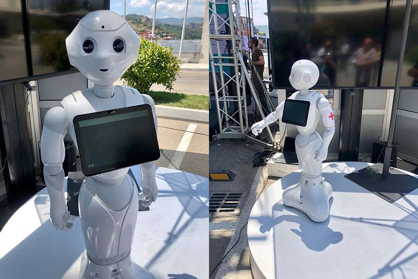 რობოტი პეპერი