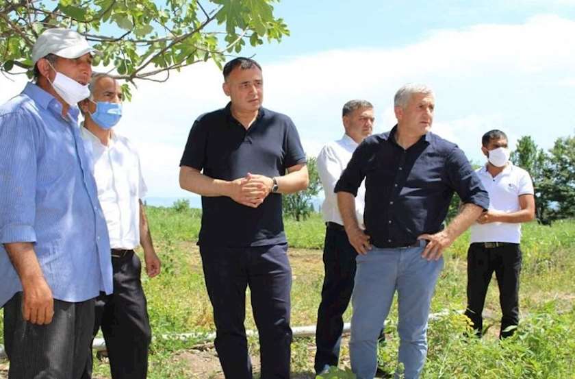 ბოლნისის მუნიციპალიტეტის მაჟორიტარი და მერი