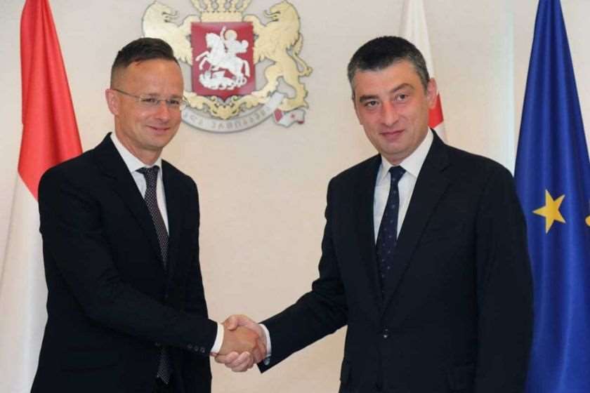 პიტერ სიიარტო; გიორგი გახარია