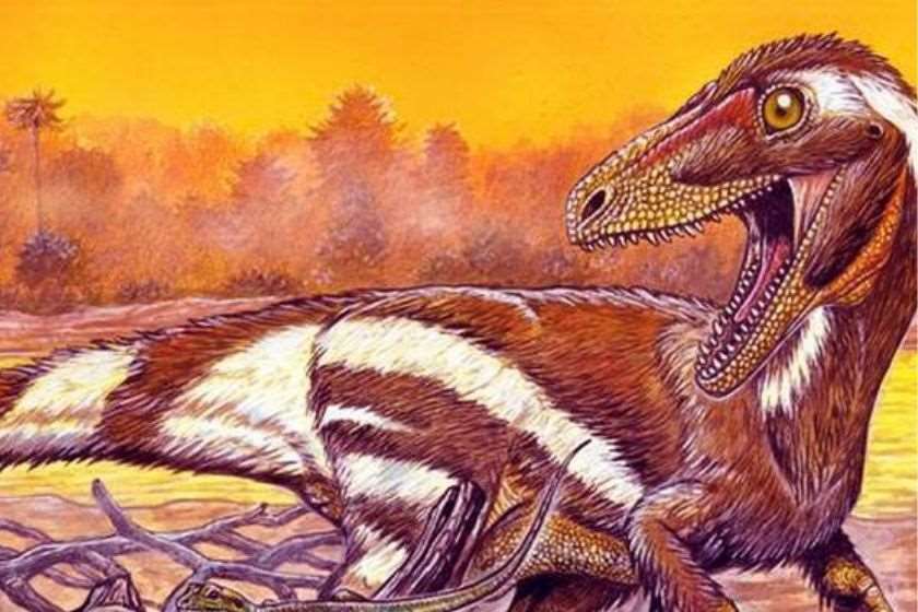 Aratasaurus museunacionali