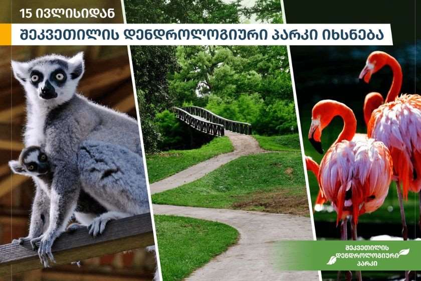 შეკვეთილის დენდროლოგიური პარკი