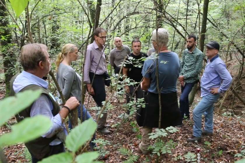 ტყის აღრიცხვა
