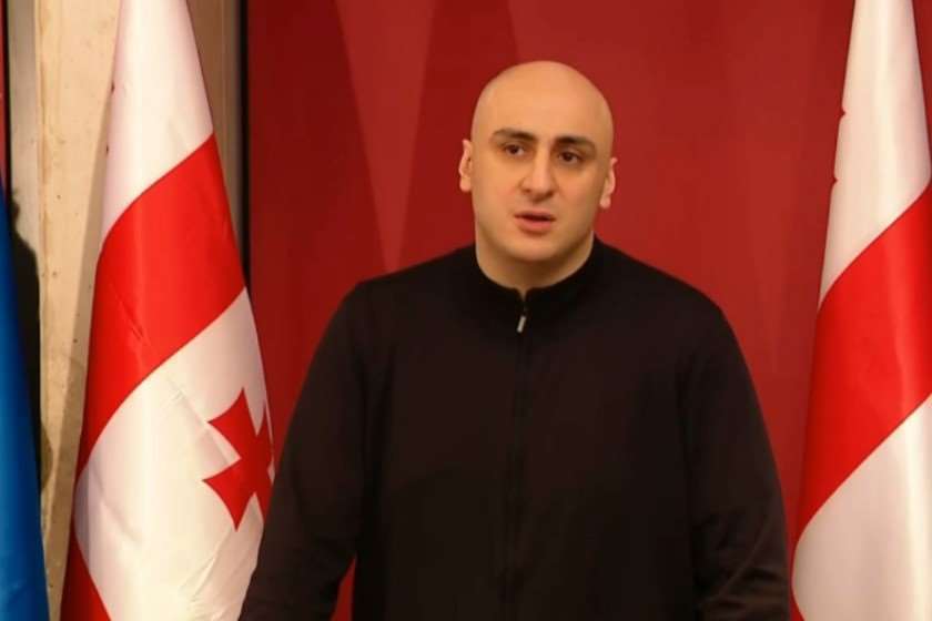 ნიკა მელია