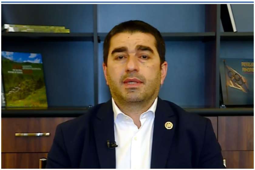 შალვა პაპუაშვილი