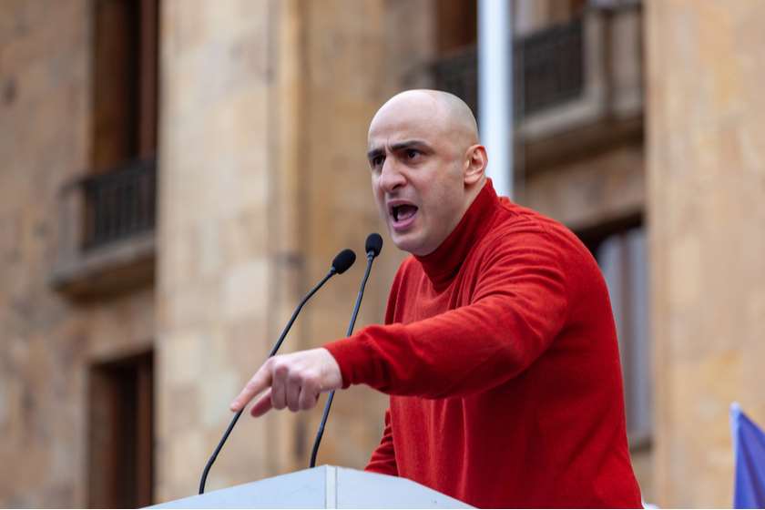 ნიკა მელია