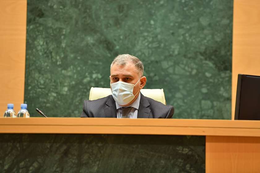 მიხეილ სარჯველაძე