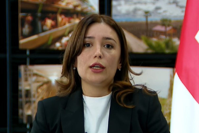 ნინო თანდილაშვილი