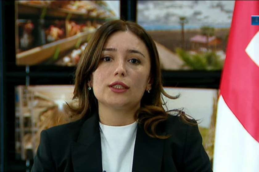 ნინო თანდილაშვილი