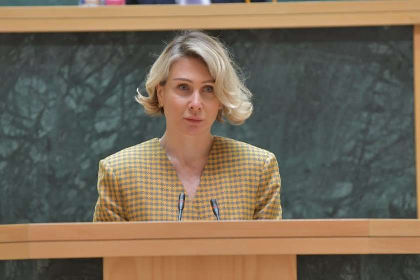 ნინო წილოსანი