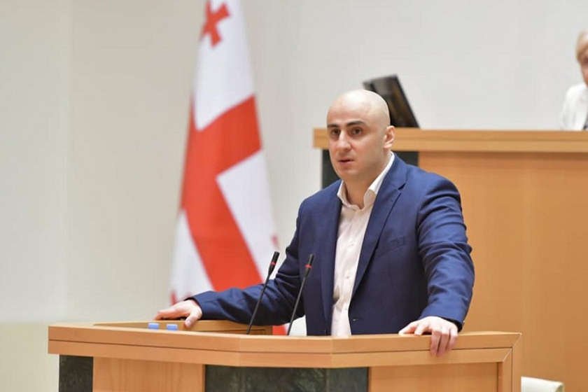 ნიკა მელია