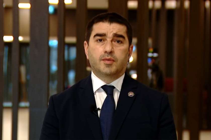 შალვა პაპუაშვილი