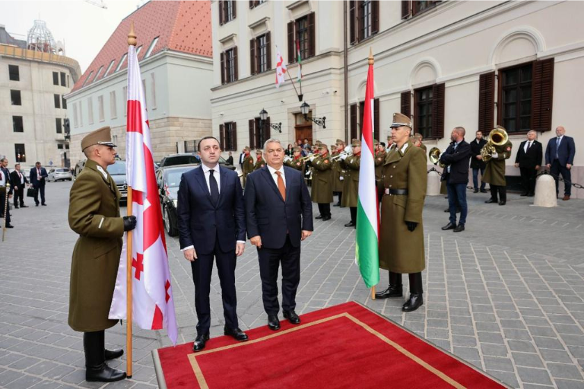 ირაკლი ღარიბაშვილი