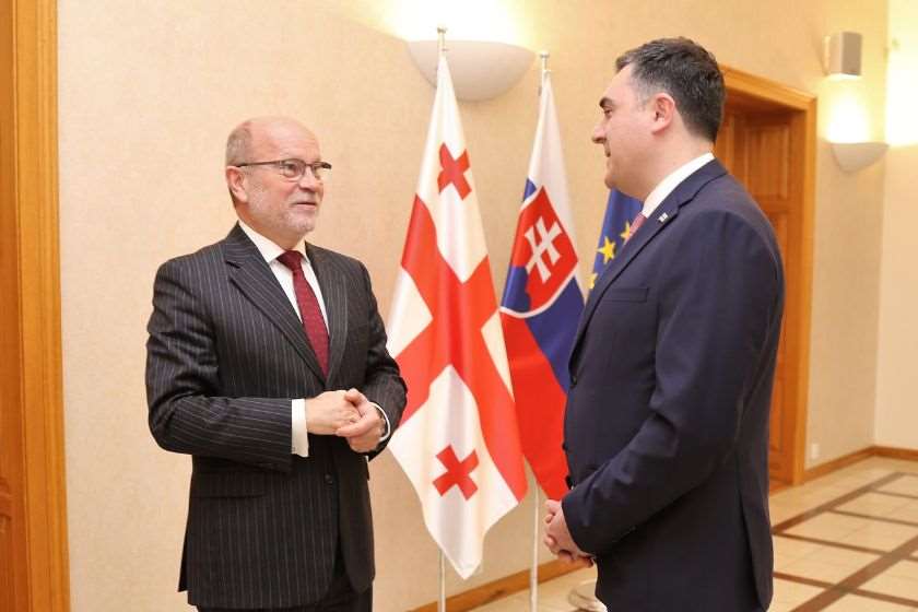 რასტისლავ კაჩერი და ილია დარჩიაშვილი