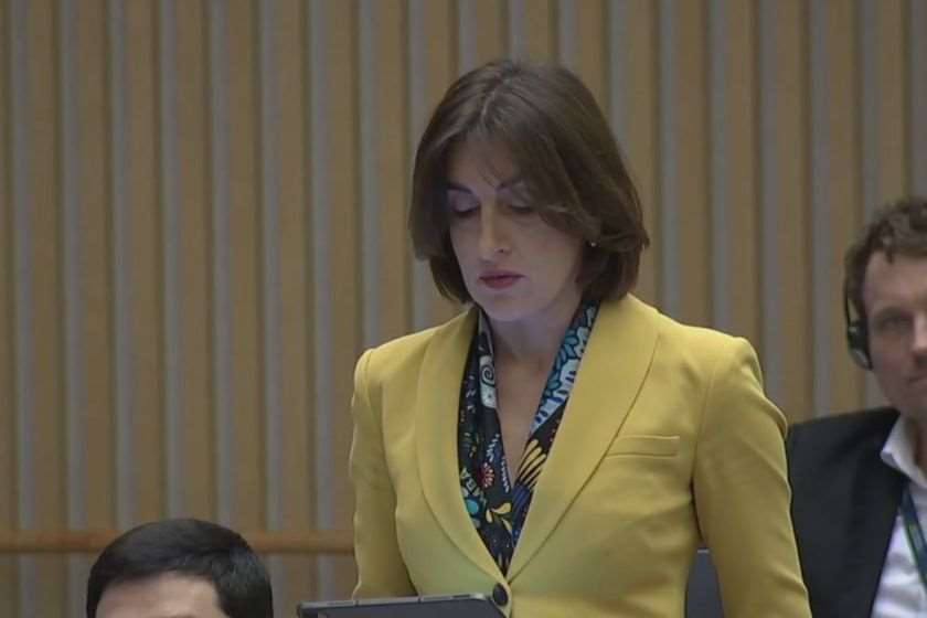 მაკა ბოჭორიშვილი