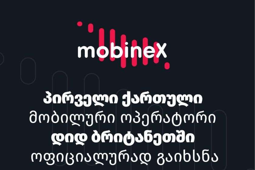 mobineX