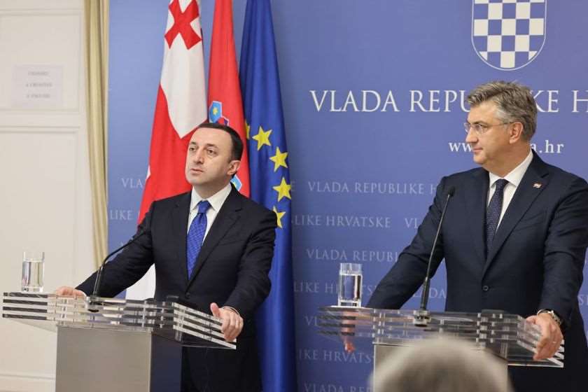 ირაკლი ღარიბაშვილი ანდრეი პლენკოვიჩი