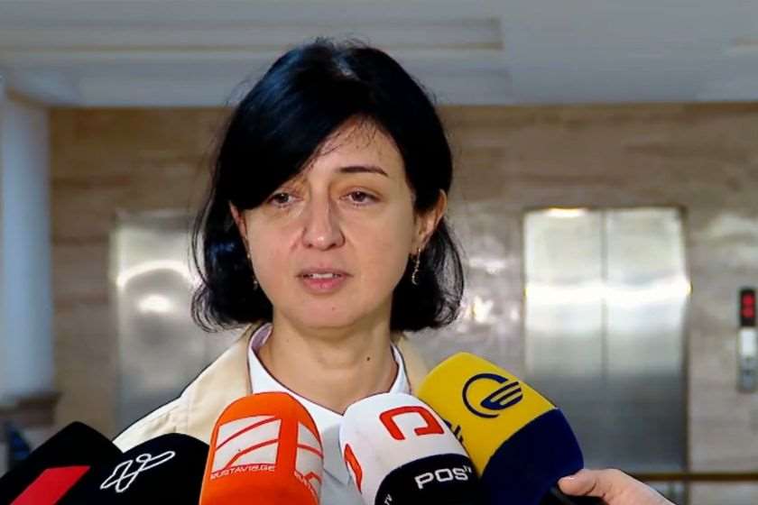 ნინო გოგიბერიძე