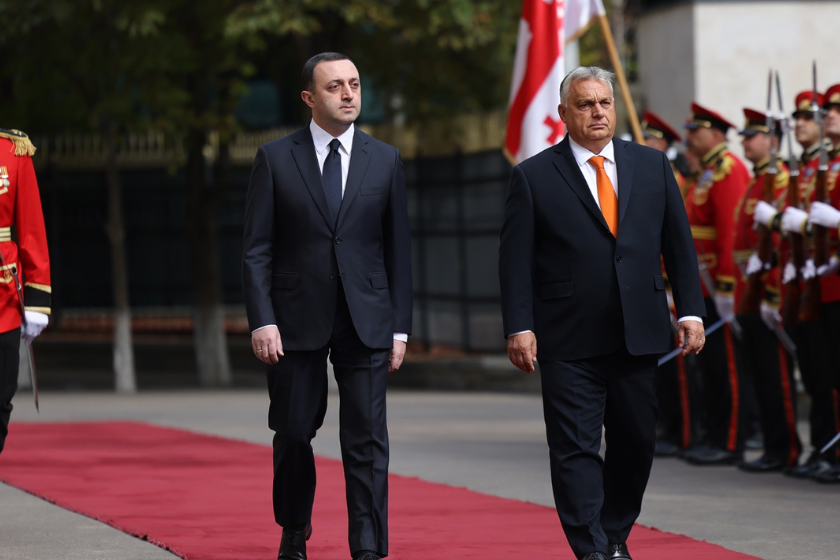 ირაკლი ღარიბაშვილი და ვიქტორ ორბანი