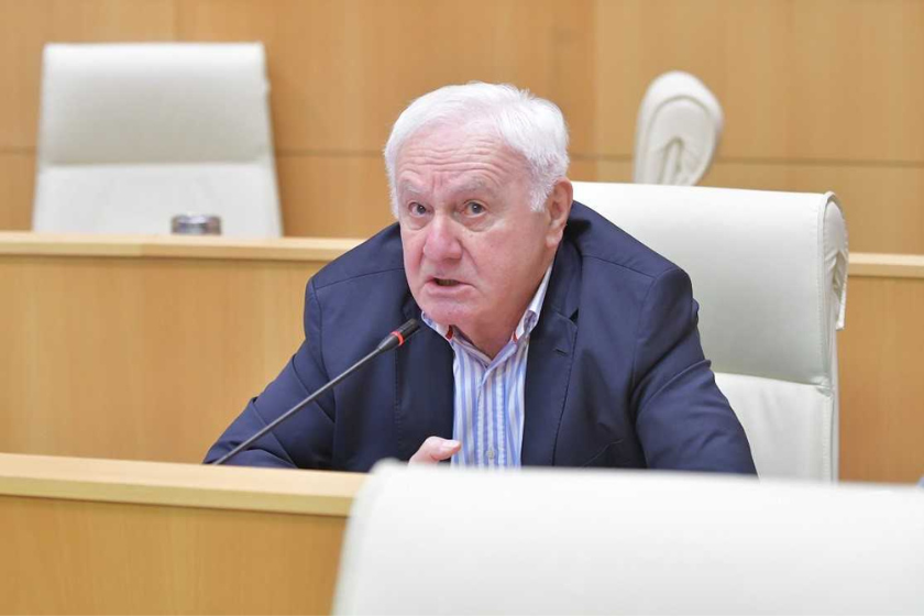 ფოტო: საქართველოს პარლამენტი