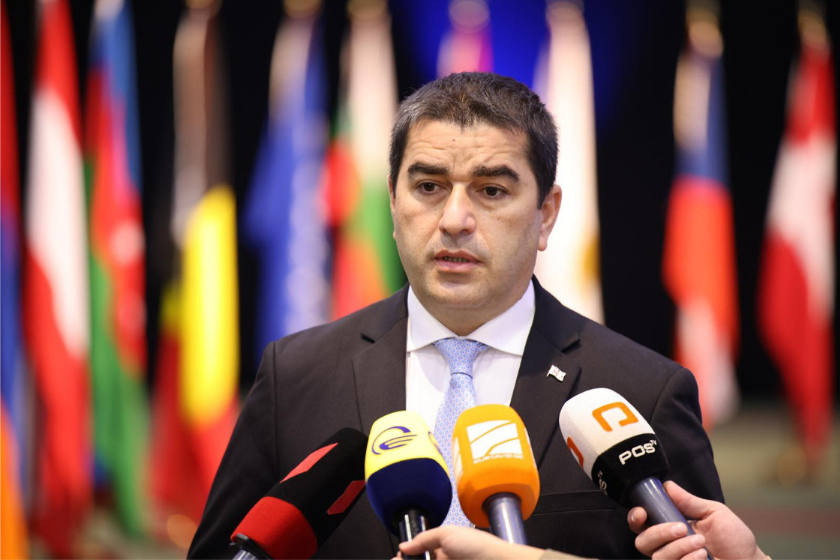 შალვა პაპუაშვილი