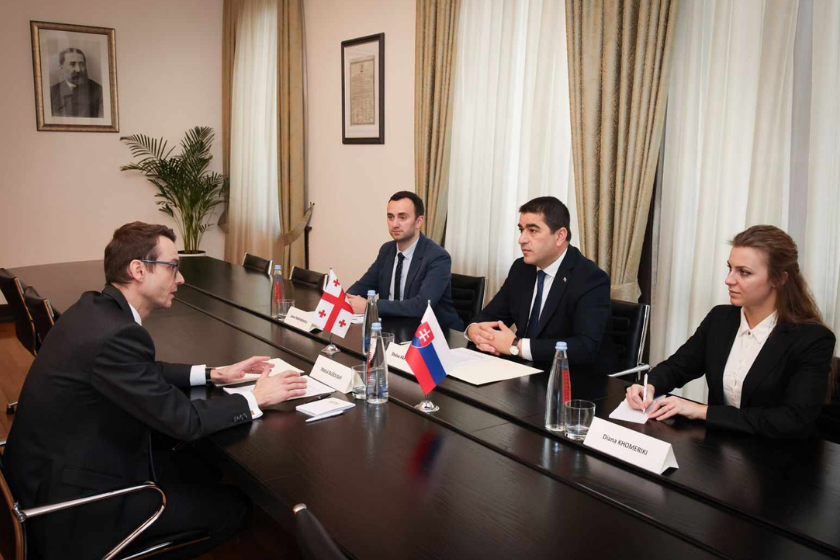 შალვა პაპუაშვილი