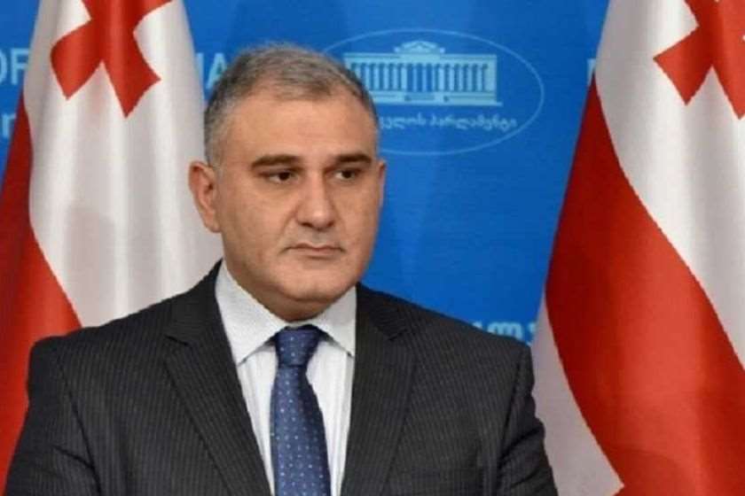 მიხეილ სარჯველაძე