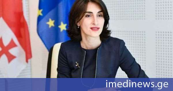 მაკა ბოჭორიშვილი გასული წლის დეკემბერში საქართველოსთან დაკავშირებით