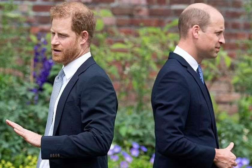 პრინცი ჰარი და პრინცი უილიამი