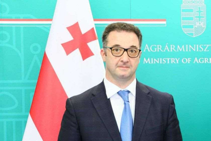 დავით სონღულაშვილი