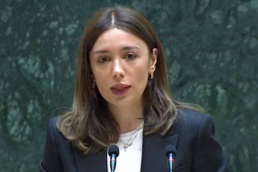 ნინო თანდილაშვილი