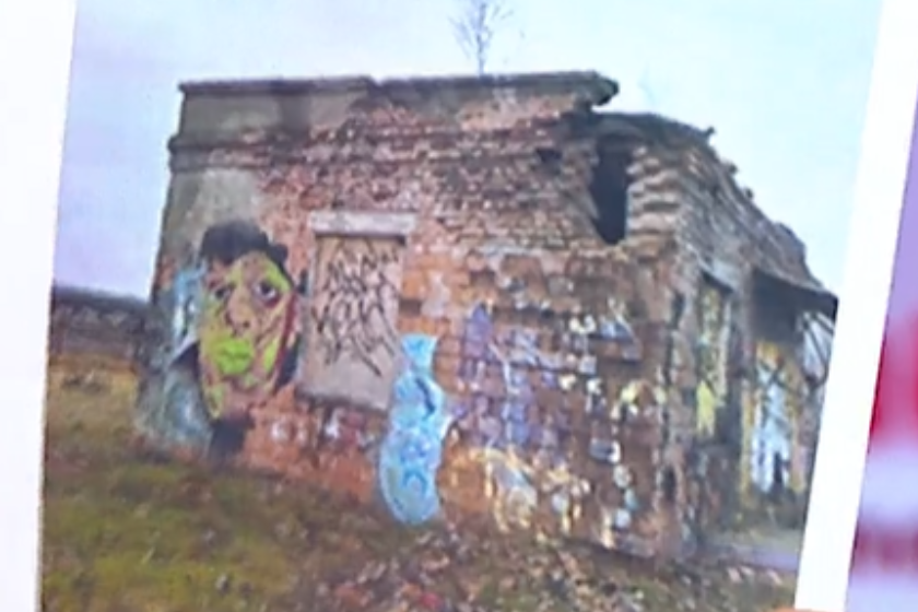 შალვა პაპუაშვილი