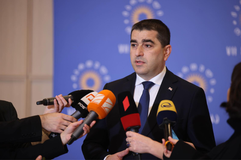 შალვა პაპუაშვილი

