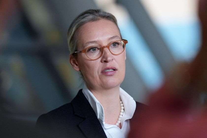 ალის ვაიდელი