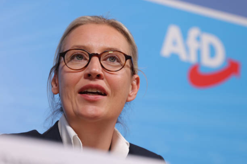 ალის ვაიდელი