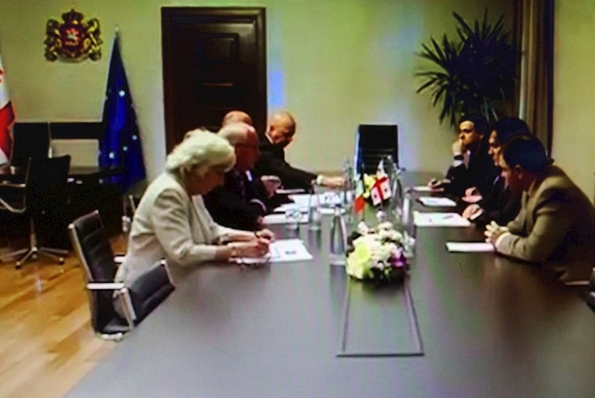 შეხვედრა ირლანდიის დელეგაციასთაც