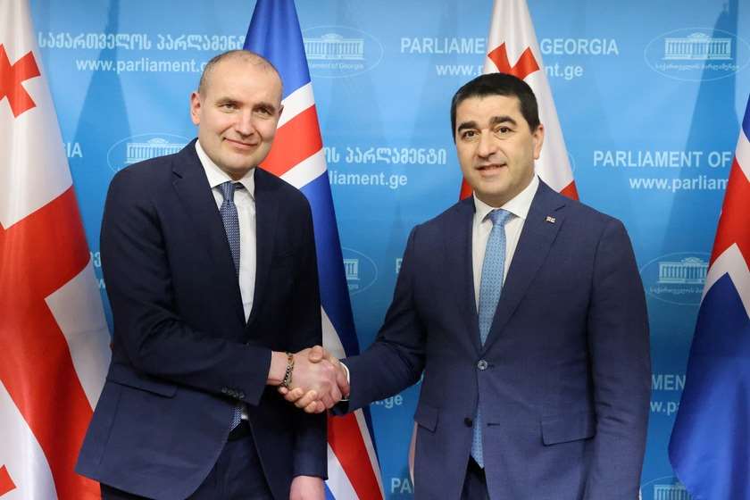 Parliament Speaker, Icelandic President review cooperation imedinews