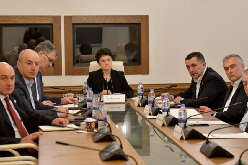 Photo: Parliament of Georgia 
