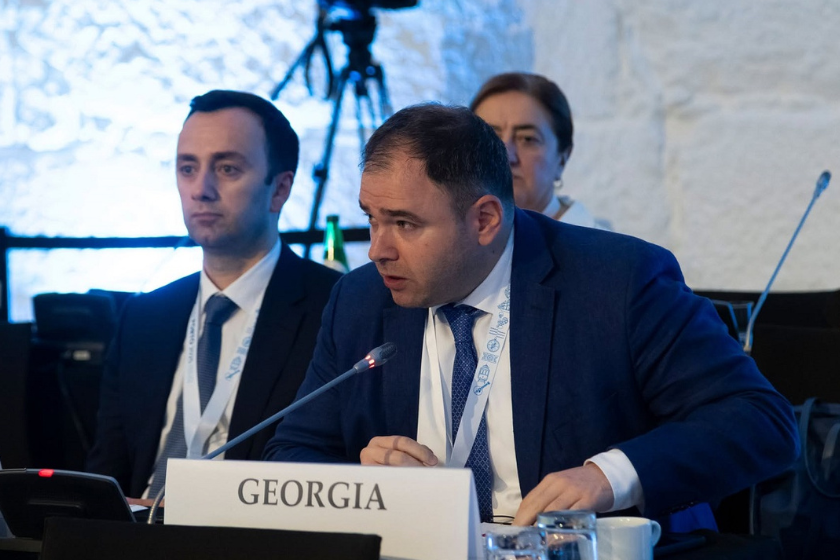 Photo: Parliament of Georgia